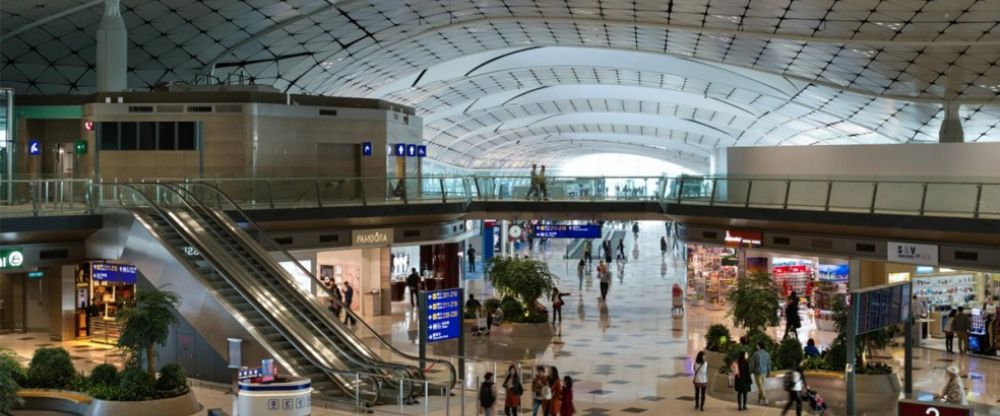 What Terminal is Scoot Airlines at Hong Kong International Airport?