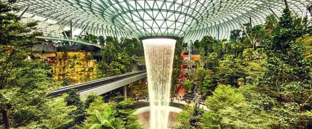 What Terminal is Scoot Airlines at Singapore Changi Airport?