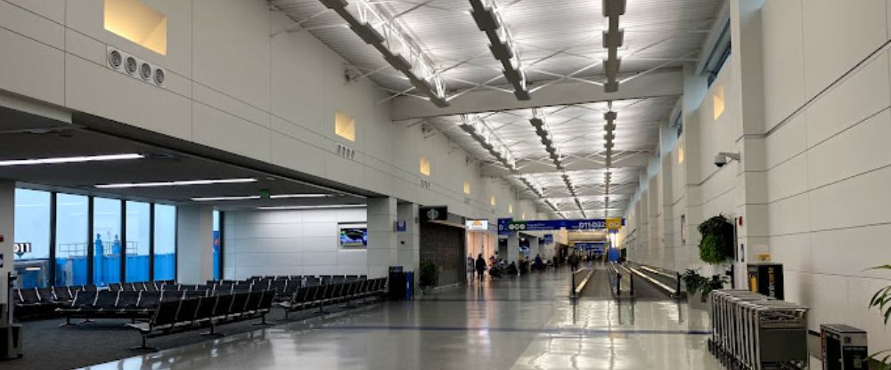 What Terminal is Turkish Airlines at Detroit Metropolitan Wayne County Airport?